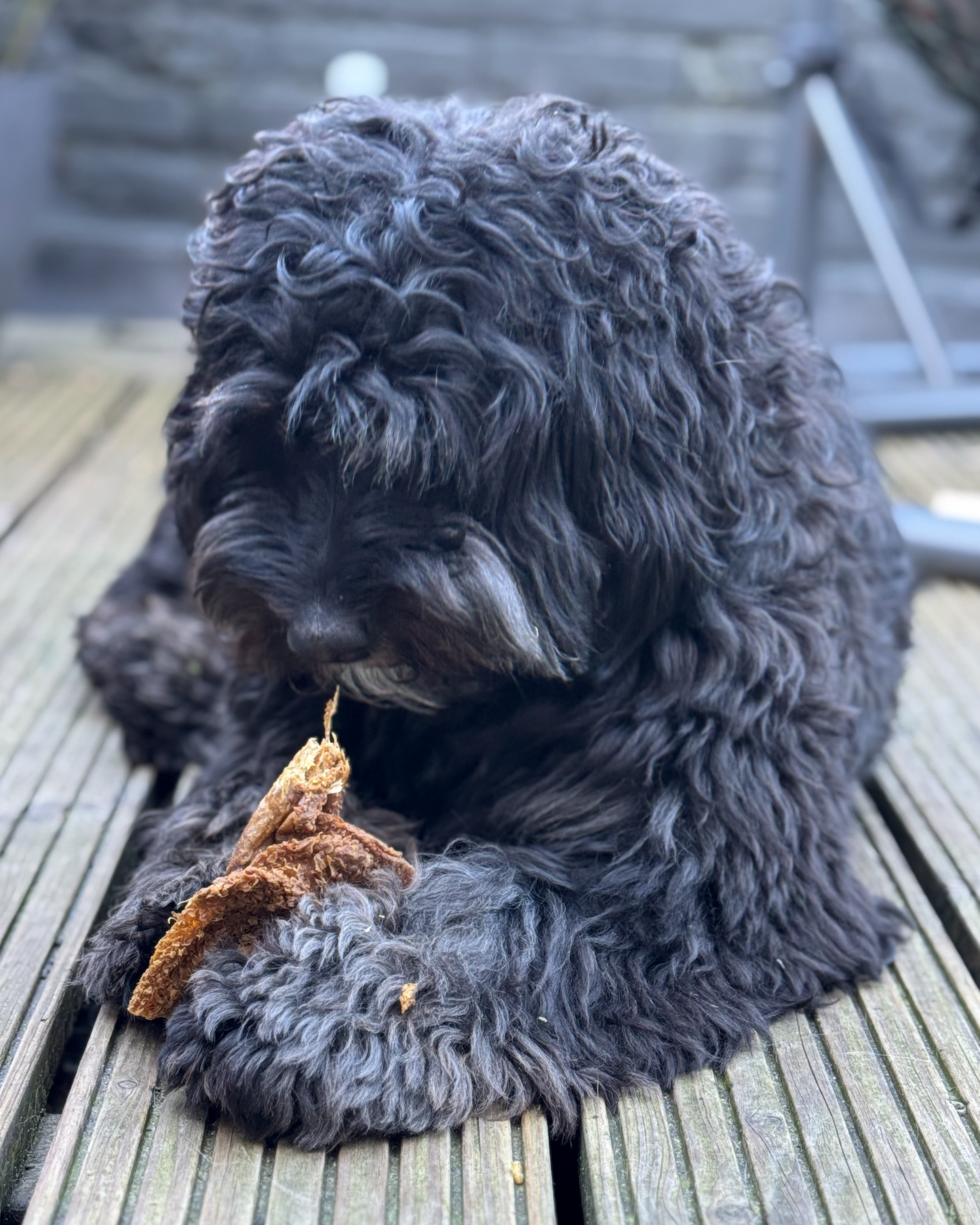 Mollie's Super Snackpakket