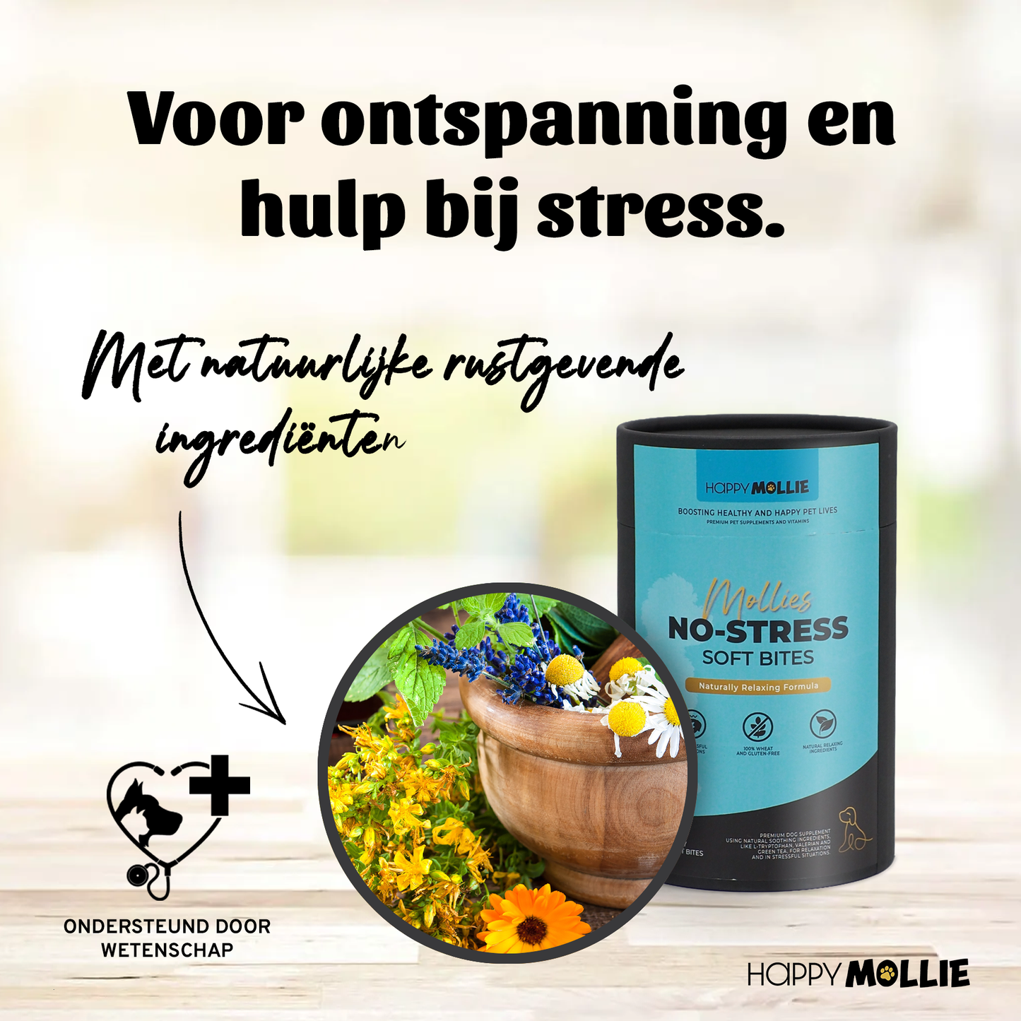 Mollie's No-Stress 60 soft-bites