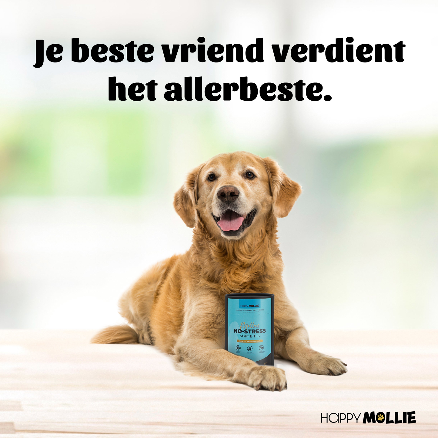 Mollie's No-Stress 60 soft-bites
