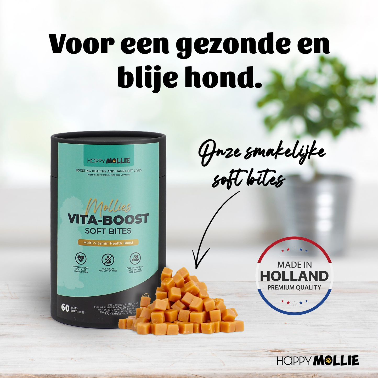 Mollie's Vita-Boost 60 soft-bites