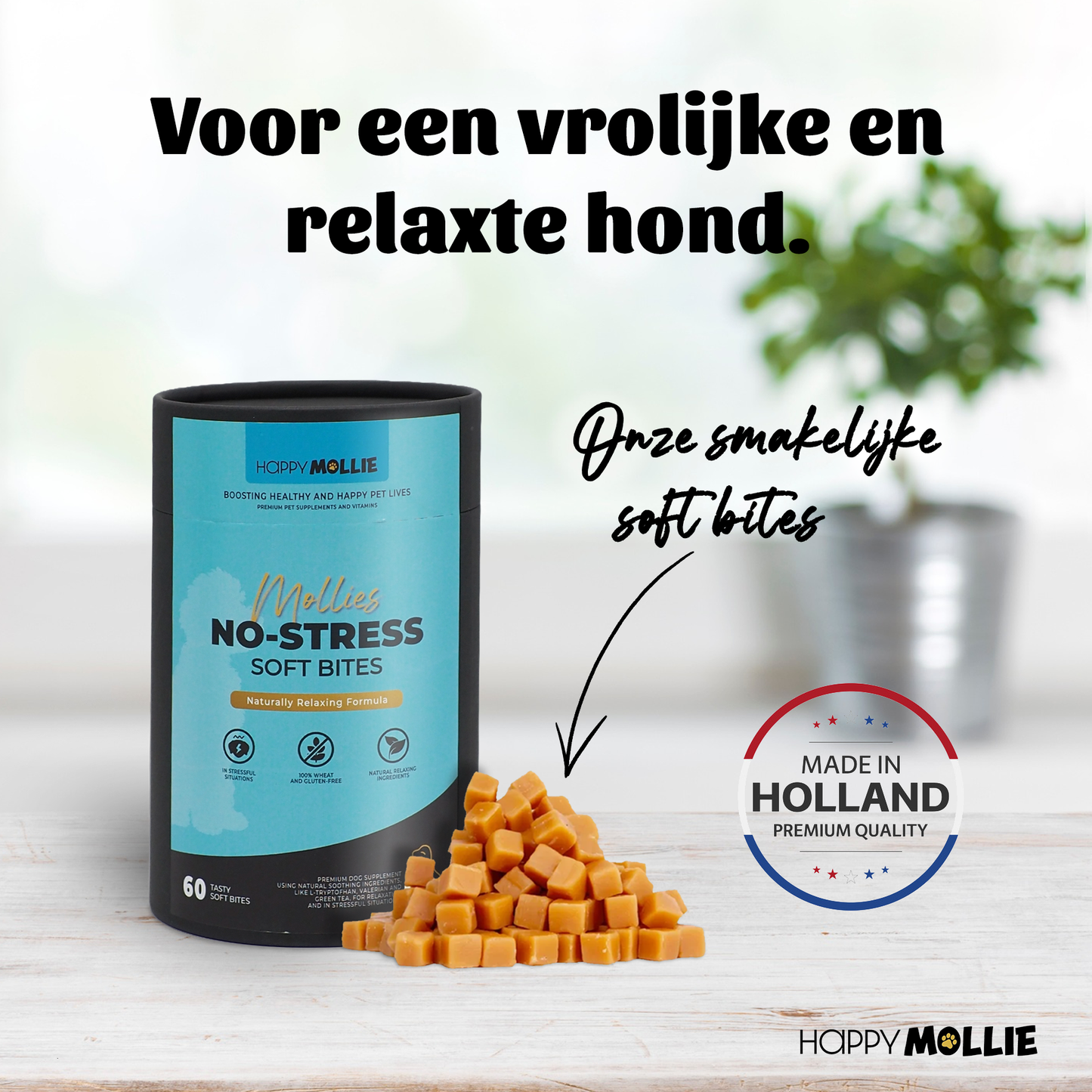 Mollie's No-Stress 60 soft-bites