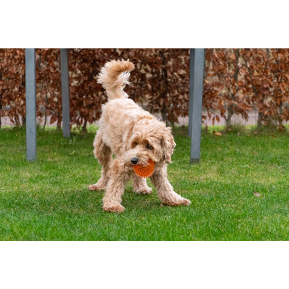 Super egelbal. Stuitert, drijft én piept