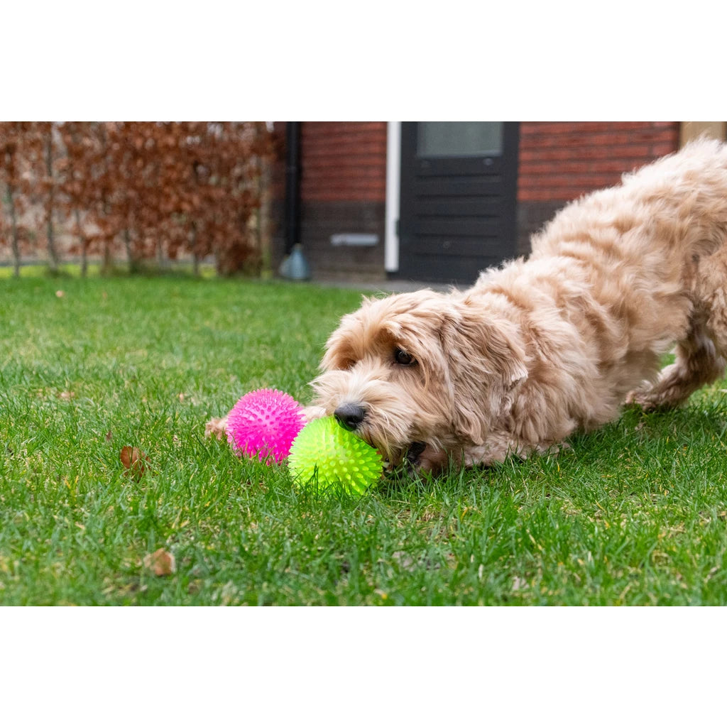 Super egelbal. Stuitert, drijft én piept