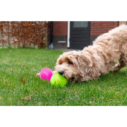 Super egelbal. Stuitert, drijft én piept