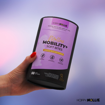 Mollie's Mobility+ 60 soft-bites