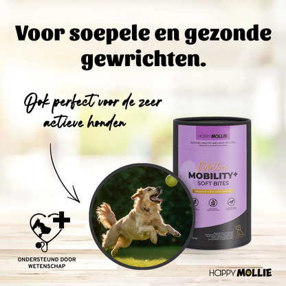 Mollie's Mobility+ 60 soft-bites
