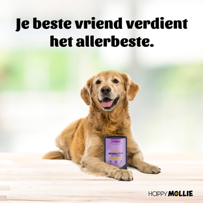 Mollie's Mobility+ 60 soft-bites