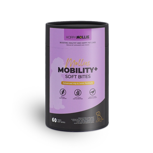Mollie's Mobility+ 60 soft-bites