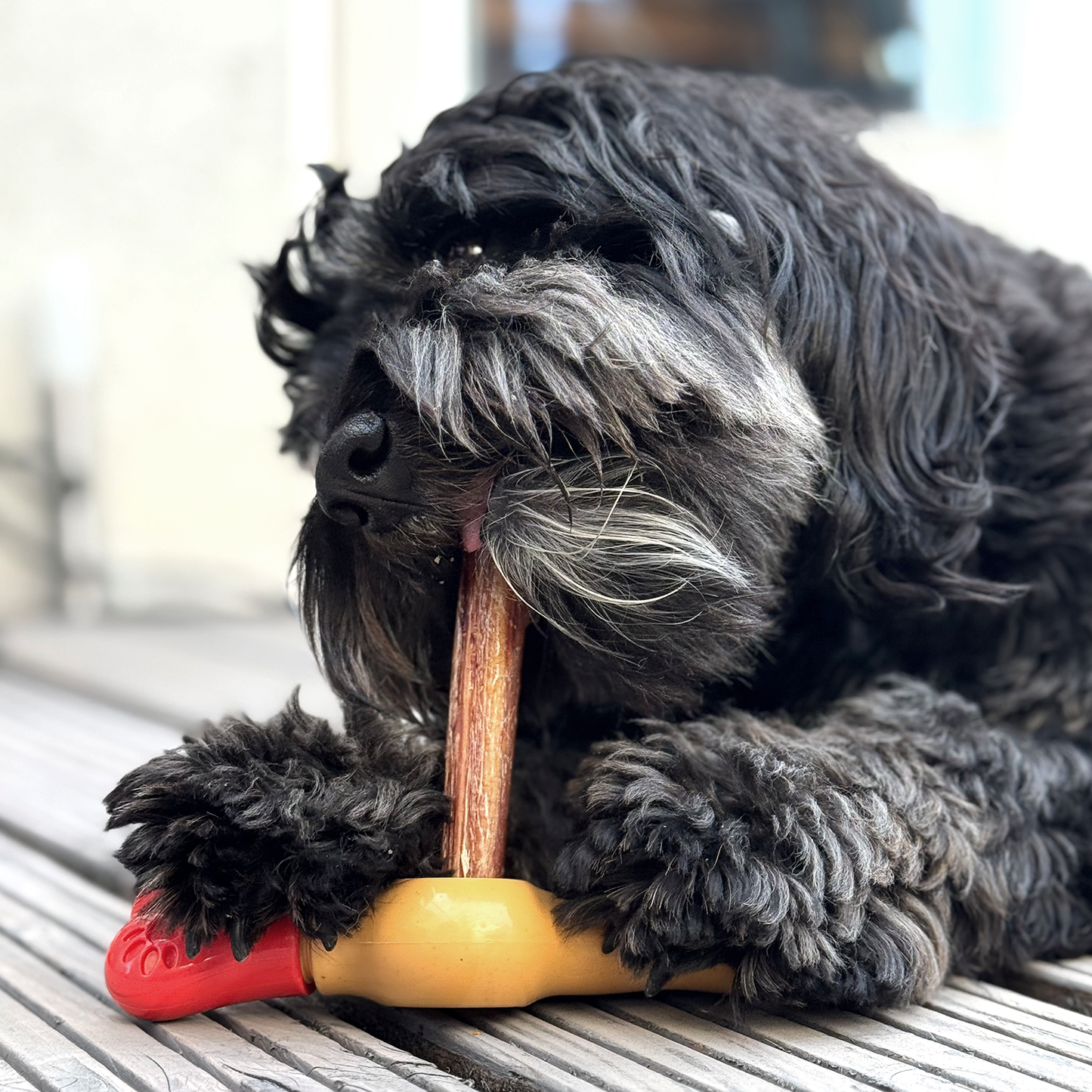 Bullepeeshouder