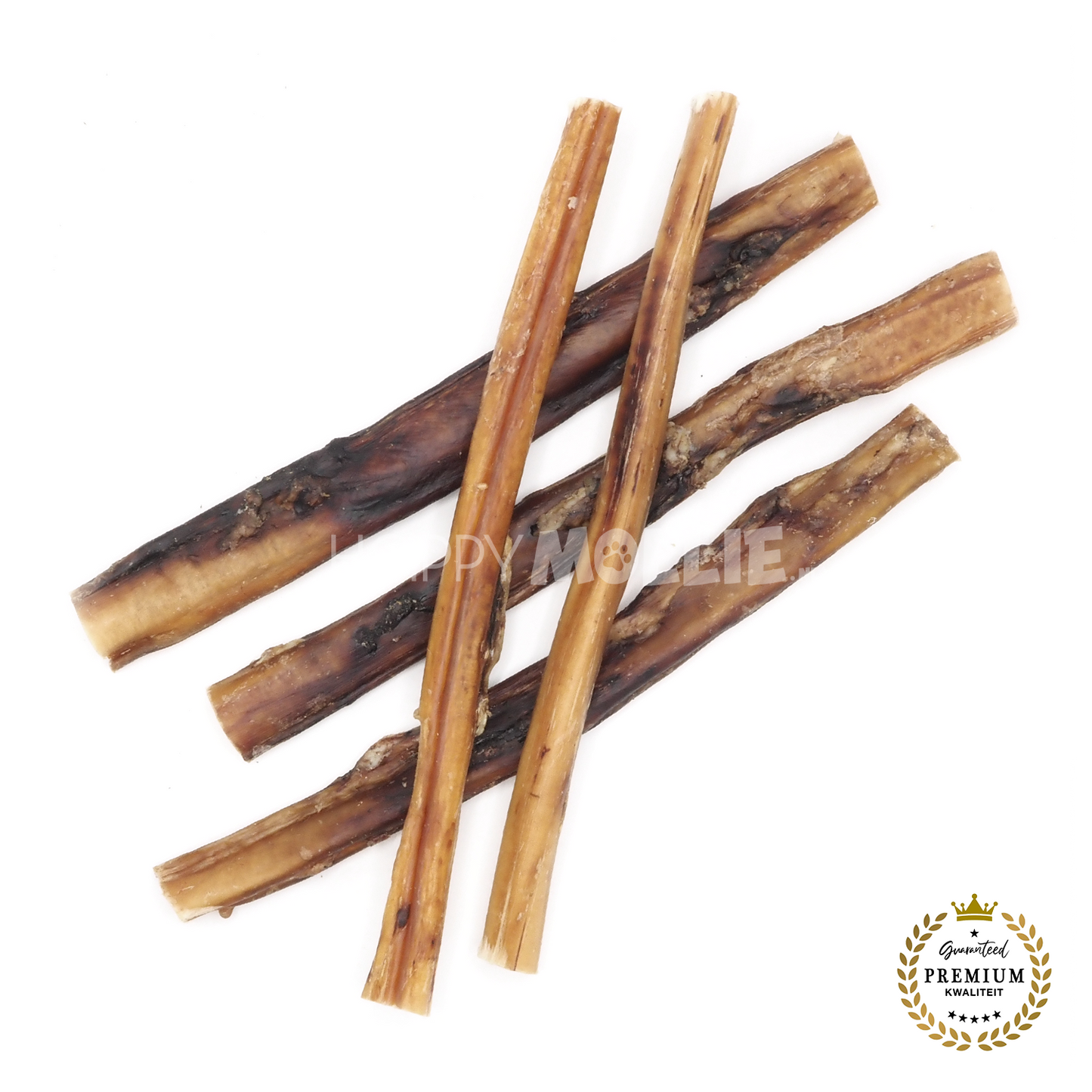 Mollie's Bullepees Lang