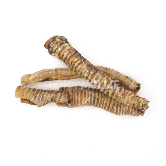 Runderluchtpijp lang