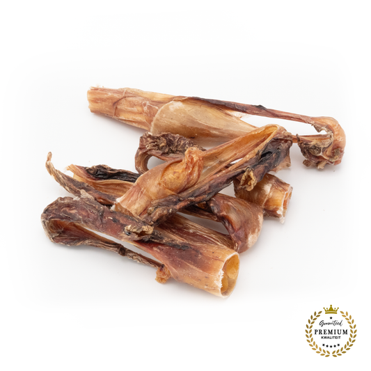 Mollie's Bullepees - Puntjes