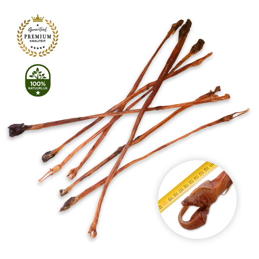 Mollie's Bullepees - XXL (110-120cm)