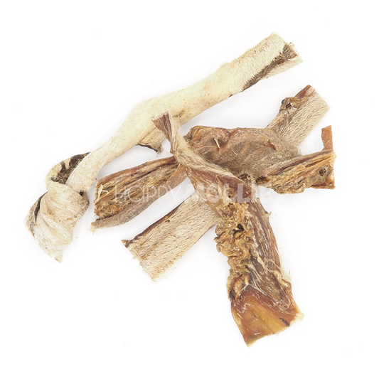 Gedroogde uierhuid met haar